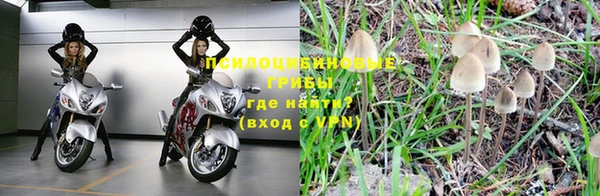 прущая мука Заволжье