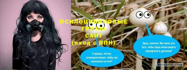 герыч Заводоуковск